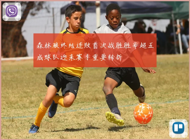 森林狼终结连败首次战胜胜率超五成球队迎来赛季重要转折